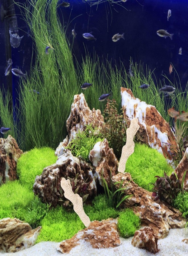 VOSCHOIX Crushed Coral Filter for Aquarium, 1.1 LB Natural Coral Stone for Freshwater Aquarium PH Fish Tank Filters Media Bottom Landscape Decorations - Image 5